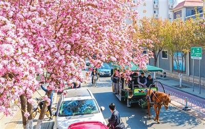 手机蓝冠登录,蓝冠平台登录线路