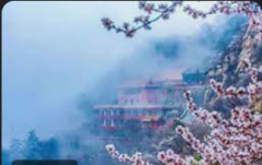 <strong>蓝冠娱乐注册登录两大市集游园活动下月</strong>