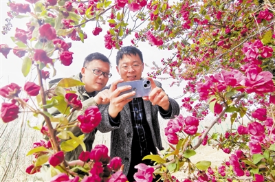 蓝冠登录网址,蓝冠平台做什么的?