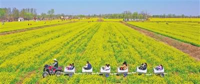 蓝冠线路测速,蓝冠登录中心