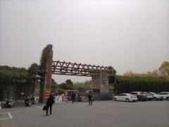 <strong>蓝冠网址滨海塘沽森林公园：森林生态美</strong>