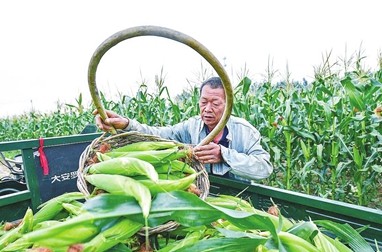 蓝冠开户注册,蓝冠怎么注册的?