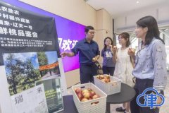 <strong>蓝冠手机登录地址“创新南开”带来的甜</strong>
