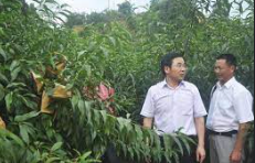 蓝冠测速,蓝冠网址